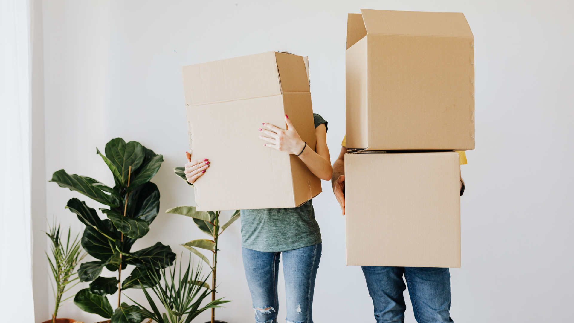 Introducing the Graceful Home Transitions Program: A Five-Phase Move Management Masterclass
