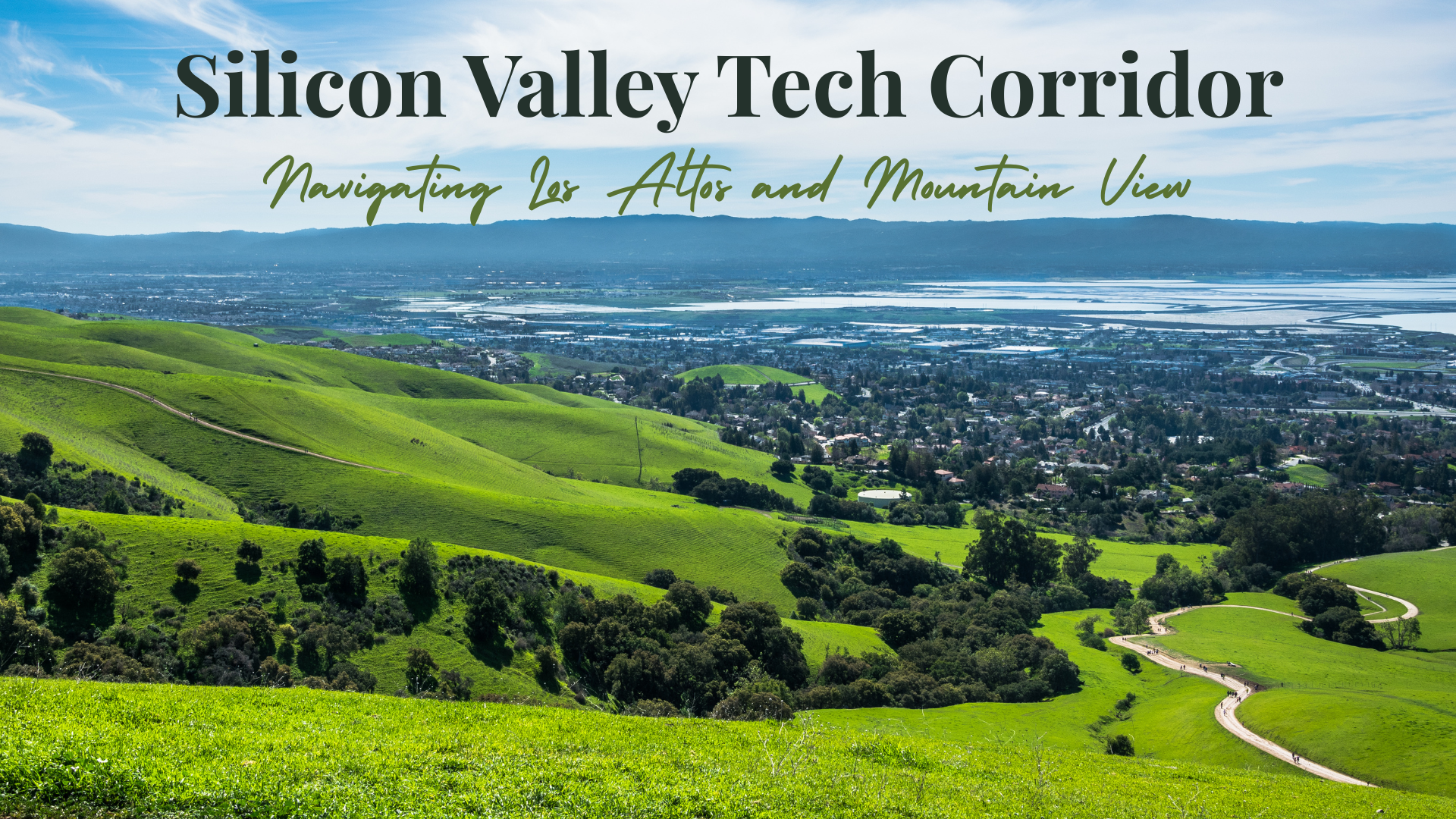 Silicon Valley Tech Corridor Report: Navigating Los Altos and Mountain View